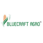 Bluecraft